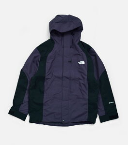 THE NORTH FACE �m�[�X�t�F�C�X GORE-TEX ���g���}�E���e�� ���C�g�W���P�b�g 2000 Retro Mountain Light Jacket np12651 ���j�Z�b�N�X 2026ss�V�� �t��