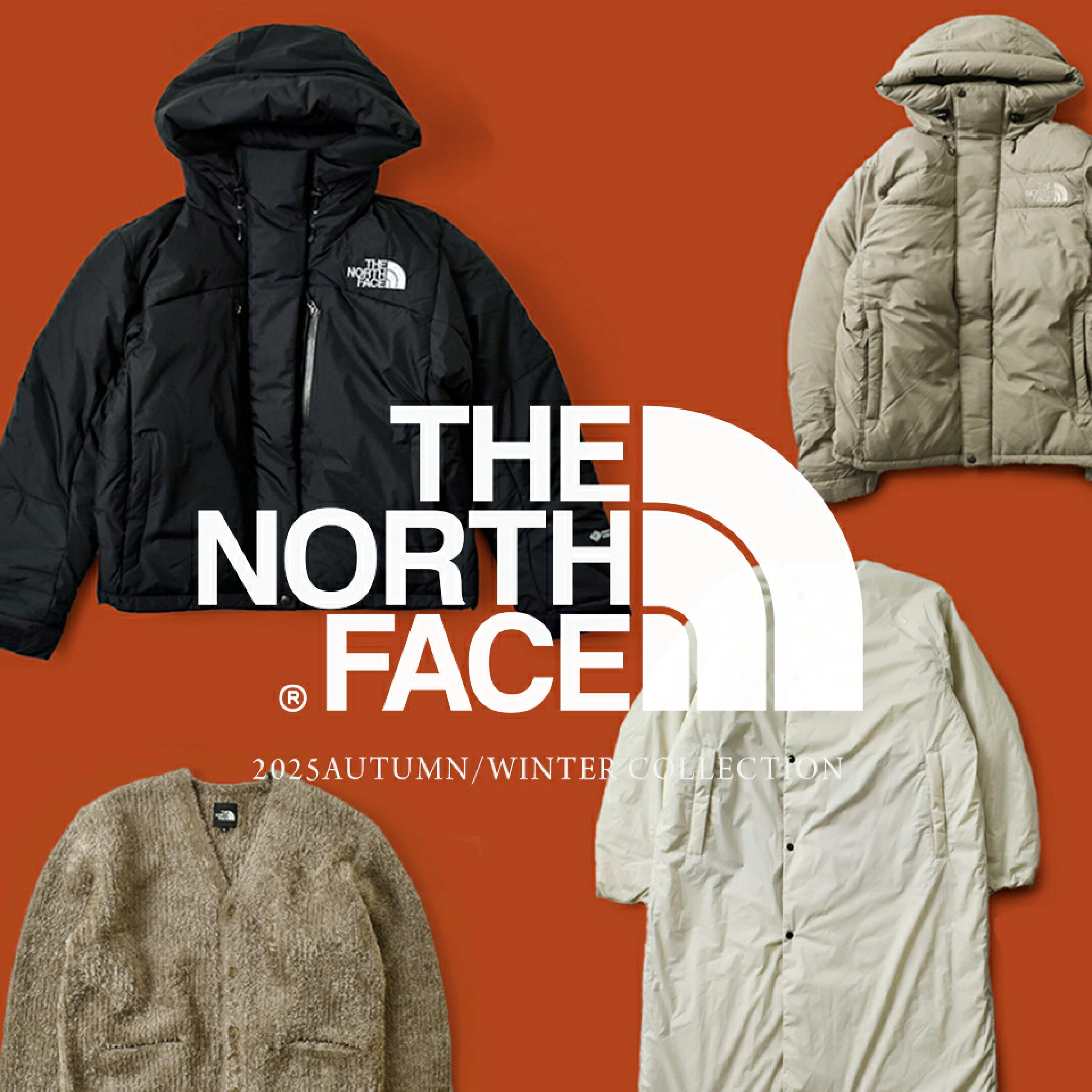 THE NORTH FACE 25AW第二便入荷