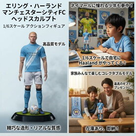 最短翌日 "30日返品保証" "送料無料" 早い者勝ち ノルウェー エリング・ハーランド DDTOYSスポット1/6モダンソルジャー可動式サッカーモデルアクションフィギュアおもちゃギフト サッカー フィギュア ユニフォーム ホーム アウェイ 半袖 レプリカ Tシャツ スマイル ジュニア