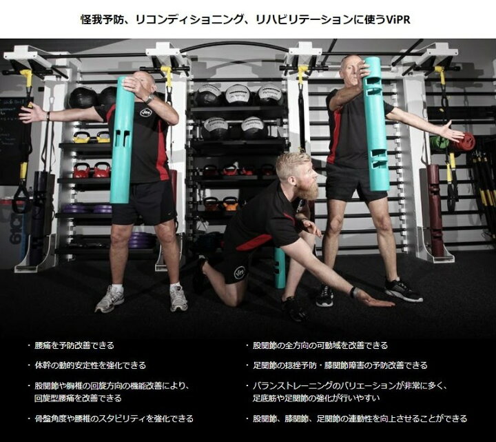 楽天市場】バイパー（ViPR） ライト 3本セット（4、6、8kg） 直送品 