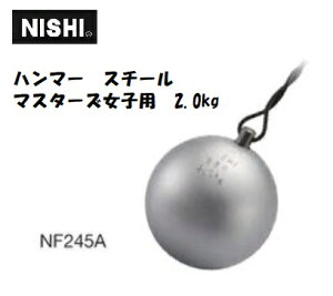 jVEX|[ciNISHIjn}[ X`[ }X^[Yqp 2.000kg NF245A