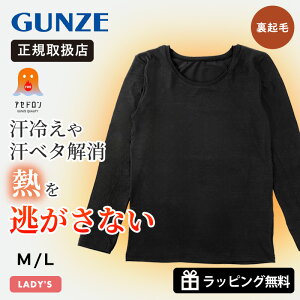 O[ GUNZE Ci[ fB[X t@C[AZh wl Ci[ n ₦h~ H~  N     M/L ubN MH0046P 97 | uh [K戵X]