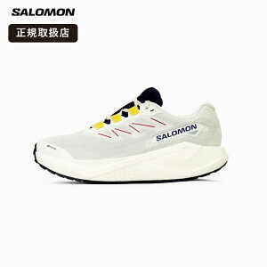 �s���I�ōő�100%�|�C���g�o�b�N���v�G���g���[�t�T������ SALOMON �����Y �X�j�[�J�[ AERO BLAZE 3 GRVL GTX �G�A���u���C�Y �S�A�e�b�N�X �h�� �g���C�� �����j���O�V���[�Y �W���M���O �E�H�[�L��