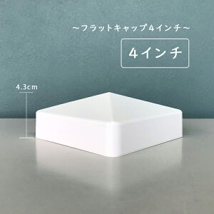 Lbv tFX oCitFXp  PVC 101.6mmp  Vv tbgLbv4C`