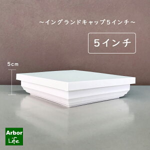 Lbv tFX   t PVC   I[ig 127mmp COhLbv5C`