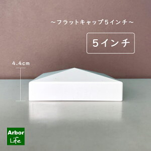 Lbv tFX   oCitFXp PVC zCg  Vv 127mmp tbgLbv5C`