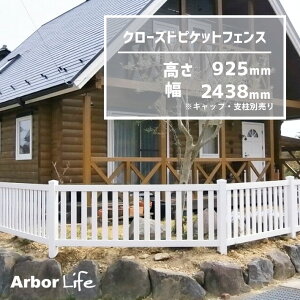 tFX  K[fjO   Ȃ PVCtFX AJtFX  oCi tFX tFXN[YhsPbgtFX 2438.4mm 19M3