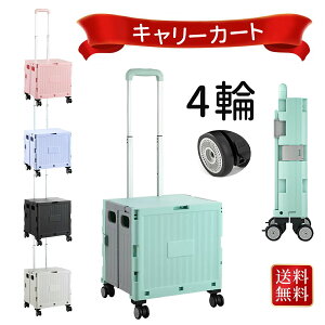 L[J[g ܂肽 4 J[g y  t^t É^C VbsOp  AEghA Lvp RpNgL[J[g 2փLX^[t ReiJ[g ܂
