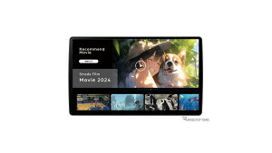 �p�C�I�j�A �X�g���[�_ F1X PREMIUM10 CN-F1X10C1D JAN 4549980762943