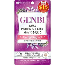 【 GENBI(げんび) 】品番:R721 お腹の内臓脂肪・皮下脂肪を減らすのを助ける 葛の花由来 イソフラボン配合 ダイエット 美容 機能性表示食品（届出番号 D71）　※3個までメール便、4個以上は宅配便での発送となります。