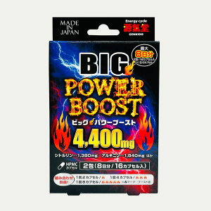 yԌ艿i^}\zy BIGp[u[Xg4,400mg 8×2 ziԁFL677 NHi Tvg jTv L-Vg L-Ij`