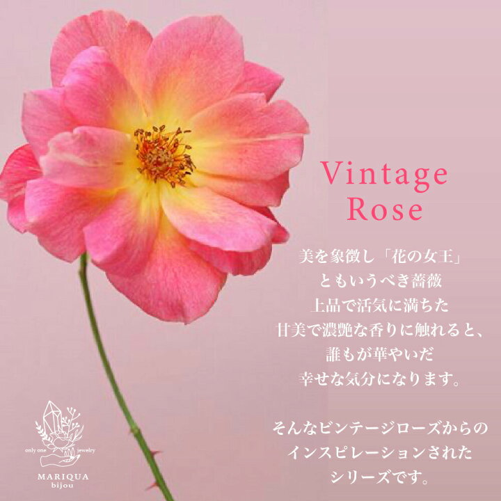 楽天市場】本日18日ポイントUP! FLOWERING フラワーリング 22kgp 