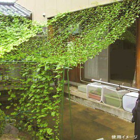 DAIM 第一ビニール 緑のカーテン 5m吊下げ 【W1800×H5000mm】 グリーンカーテン