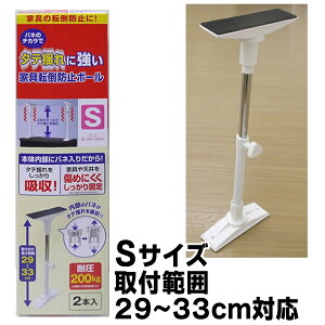 ^ehɋ Ƌ]|h~|[ STCY t͈ 29`33cmΉ A[NY