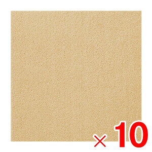  EBYybgtA ybg}bg WPF02 N[ ×10 P[X̔