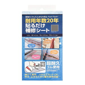 �Z�m�n�E�X�p�� �\�邾����C�V�[�g 140×500mm �O���[ 1���� Fast Flash