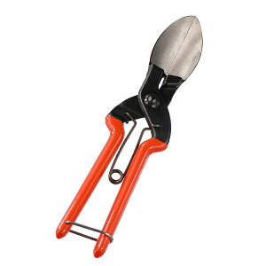 X_ SUWADA ڂnp ڂ 725604