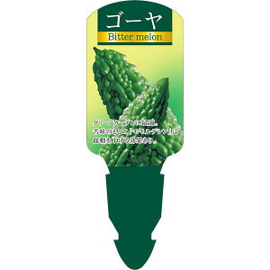 |px y S[ cCtbN (100) z139.5mm×50mm t[x |pi K[fjOpi ϐ ϋv   i햼\x |x Ax x v[g | i