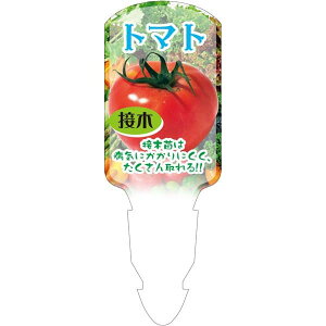 |px y g}g ږ cCtbN (100)z 139.5mm×50mm t[x |pi K[fjOpi ϐ ϋv   i햼\x |x Ax x v[g 