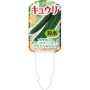 |px y LE ږ cCtbN (100)z139.5mm×50mm t[x |pi K[fjOpi ϐ ϋv   i햼\x |x Ax x v[g 