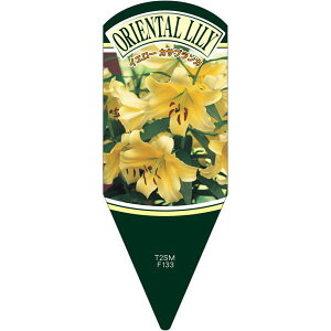 |pxy  CG[ JTuJ L (100)z132.5mm×50mm t[x |pi K[fjOpi ϐ ϋv   i햼\x |x Ax x v[g 