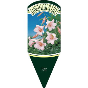 |pxy  sN v~X L (100)z132.5mm×50mm t[x |pi K[fjOpi ϐ ϋv   i햼\x |x Ax x v[g | 