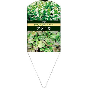 園芸用ラベル【 アジュガ ホワイト L (100枚)】132.5mm×50mm フラワーラベル 園芸用品 ガーデニング用品 耐水性 耐久性 花 木 品種名表示ラベル 園芸ラベル 植物ラベル ラベル プレート 園芸 品種
