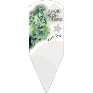 |pxy [JVo[hbv L(100)z132.5mm×50mm t[x |pi K[fjOpi ϐ ϋv   i햼\x |x Ax x v[g 