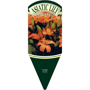 |pxy ASLY IWRRbg L (100)z132.5mm×50mm t[x |pi K[fjOpi ϐ ϋv   i햼\x |x Ax x v[g | 