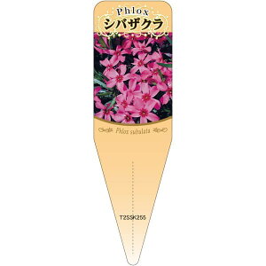 |pxy ō  S(100)z115mm×34mm t[x |pi K[fjOpi ϐ ϋv   i햼\x |x Ax x v[g | i A  