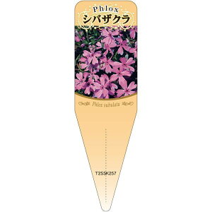 |pxy ō sN S(100)z115mm×34mm t[x |pi K[fjOpi ϐ ϋv   i햼\x |x Ax x v[g | i A  