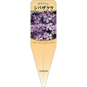 |pxy ō  S(100)z115mm×34mm t[x |pi K[fjOpi ϐ ϋv   i햼\x |x Ax x v[g | i A  