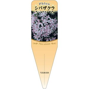 |pxy ō tCsN S(100)z115mm×34mm t[x |pi K[fjOpi ϐ ϋv   i햼\x |x Ax x v[g | i 