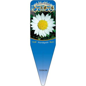 |pxy NTZ} m[X|[ S(100)z115mm×34mm t[x |pi K[fjOpi ϐ ϋv   i햼\x |x Ax x v[g 