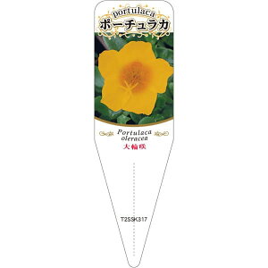 |pxy ^C |[`J 12 S(100)z115mm×34mm t[x |pi K[fjOpi ϐ ϋv   i햼\x |x Ax x v[g | 