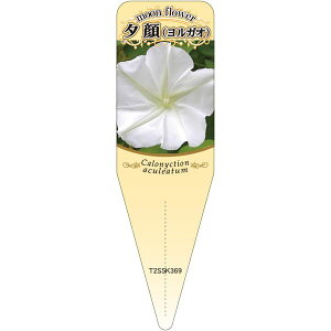 |pxy KI iEKIj(100)z115mm×34mm t[x |pi K[fjOpi ϐ ϋv   i햼\x |x Ax x v[g | i