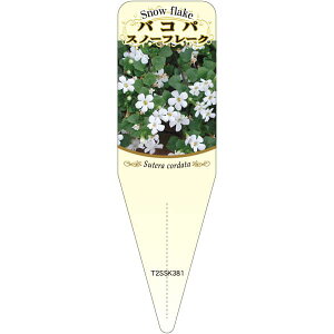 |pxy oRp Xm[t[N (100)z115mm×34mm t[x |pi K[fjOpi ϐ ϋv   i햼\x |x Ax x v[g | i