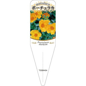 |pxy |[`J `E 7 S(100)z115mm×34mm t[x |pi K[fjOpi ϐ ϋv   i햼\x |x Ax x v[g 