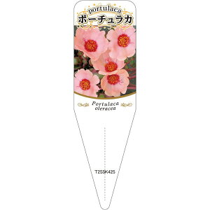 |pxy |[`J `E 8 S(100)z115mm×34mm t[x |pi K[fjOpi ϐ ϋv   i햼\x |x Ax x v[g 