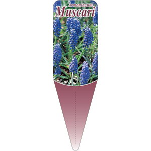 |pxy XJ S(100)z 115mm×34mm t[x |pi K[fjOpi ϐ ϋv   i햼\x |x Ax x v[g | i A ނ