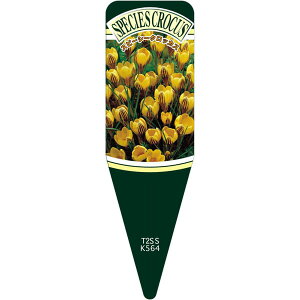 |pxy Xs[V[NbJX WvV[ S(100)z115mm×34mm t[x |pi K[fjOpi ϐ ϋv   i햼\x |x Ax x v[