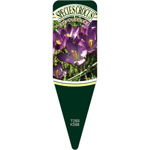 |pxy Xs[V[NbJX r[WS (100)z115mm×34mm t[x |pi K[fjOpi ϐ ϋv   i햼\x |x Ax x v[