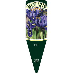 |pxy ~jACX  S (100)z115mm×34mm t[x |pi K[fjOpi ϐ ϋv   i햼\x |x Ax x v[g | i A