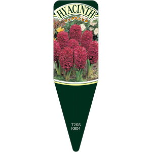 |pxy qVXEbhXgbN S (100)z115mm×34mm t[x |pi K[fjOpi ϐ ϋv   i햼\x |x Ax x v[g 