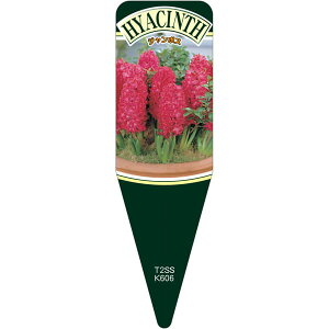 |pxyqVXW{X S(100)z115mm×34mm t[x |pi K[fjOpi ϐ ϋv   i햼\x |x Ax x v[g | i