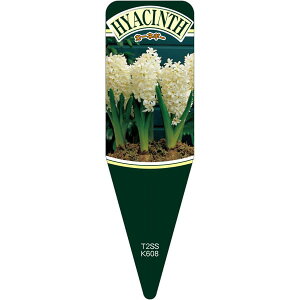 |pxy qVXJ[lM[ S 115mm×34mmz100 t[x |pi K[fjOpi ϐ ϋv   i햼\x |x Ax x v[g | i