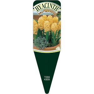 |pxy qVXVeB[Iun[ S(100)z 115mm×34mm t[x |pi K[fjOpi ϐ ϋv   i햼\x |x Ax x v