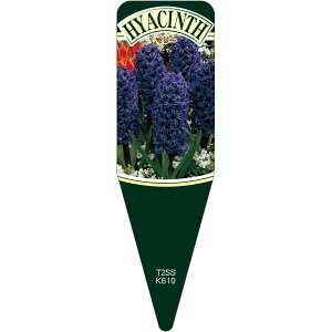 |pxy qVX}[ S(100)z115mm×34mm t[x |pi K[fjOpi ϐ ϋv   i햼\x |x Ax x v[g | i A