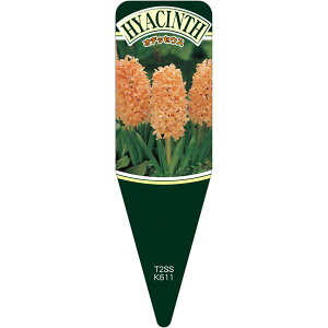 |pxy qVXIfbZEX S (100)z)115mm×34mm t[x |pi K[fjOpi ϐ ϋv   i햼\x |x Ax x v[g |