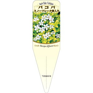 |pxy oRp Xm[t[NtC S (100)z115mm×34mm t[x |pi K[fjOpi ϐ ϋv   i햼\x |x Ax x v[g 